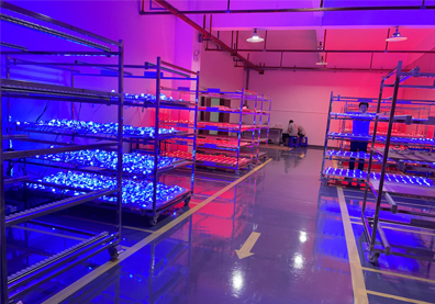 LED网格屏和LED格栅屏应用有什么不同？